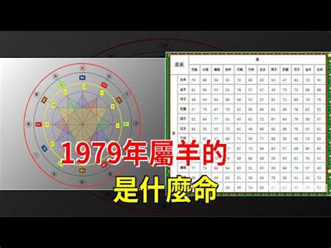 1979年五行屬什麼|1979年五行属什么